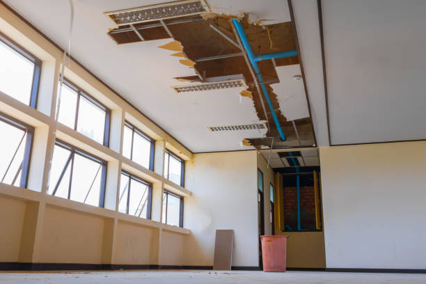 Best Flooded house restoration  in Andrews, TX