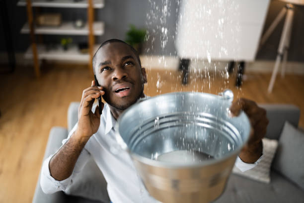 Best Local water damage restoration  in Andrews, TX