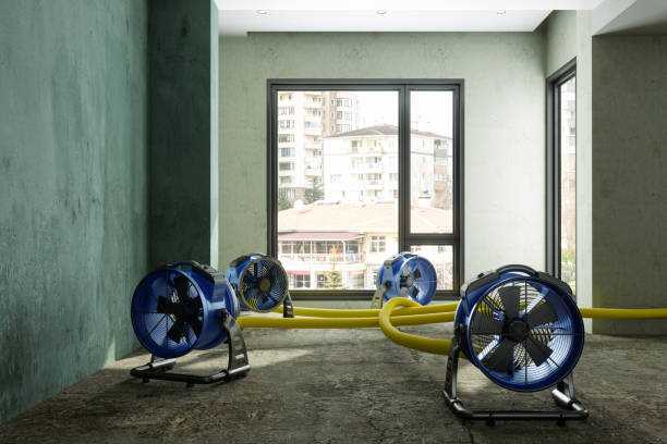 Best Ceiling water damage repair  in Andrews, TX